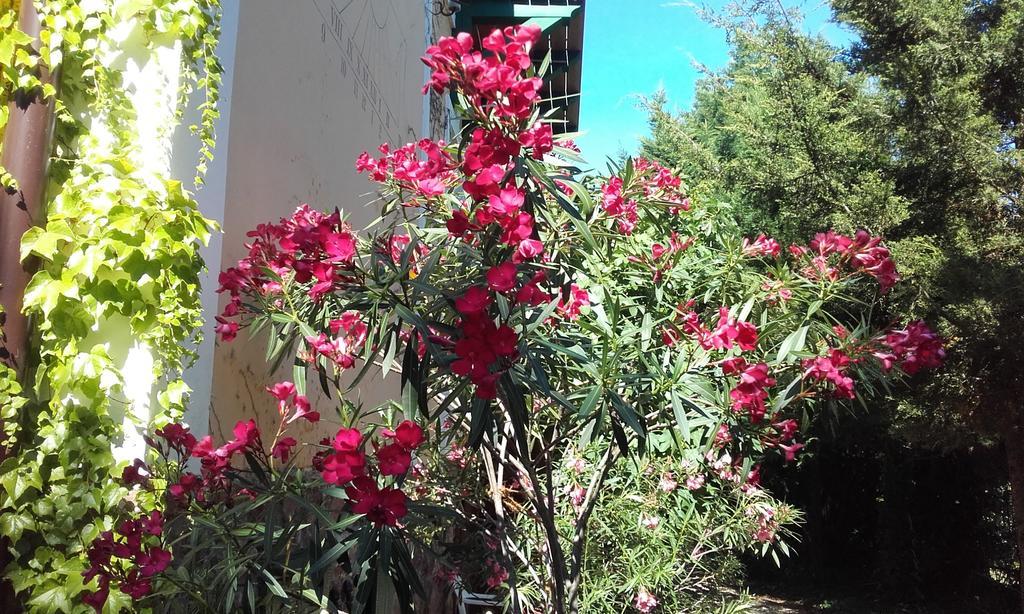 Villa-Magdi Vendeghaz Révfülöp Buitenkant foto