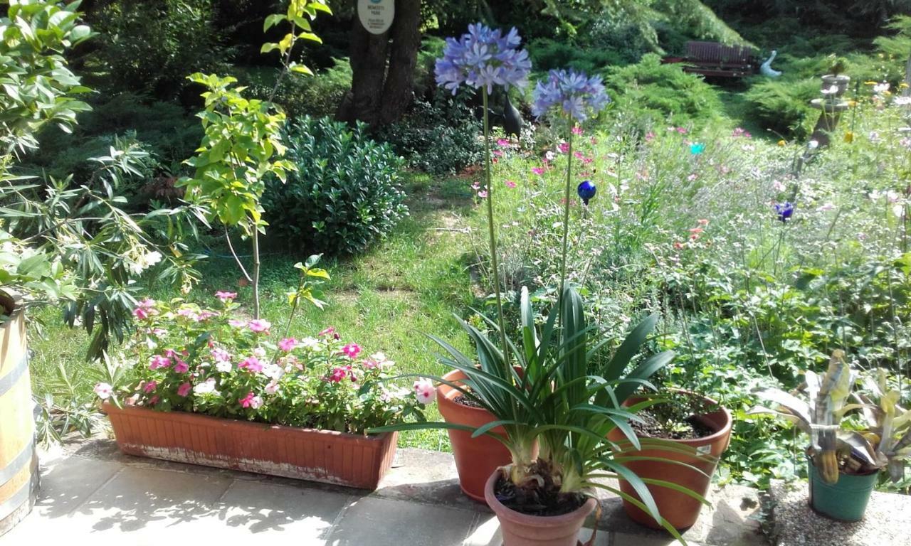 Villa-Magdi Vendeghaz Révfülöp Buitenkant foto
